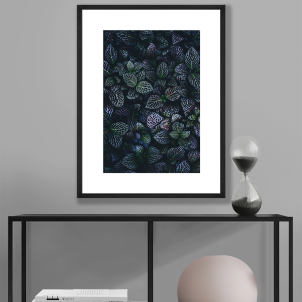 Posteran Plakaty Obrazy