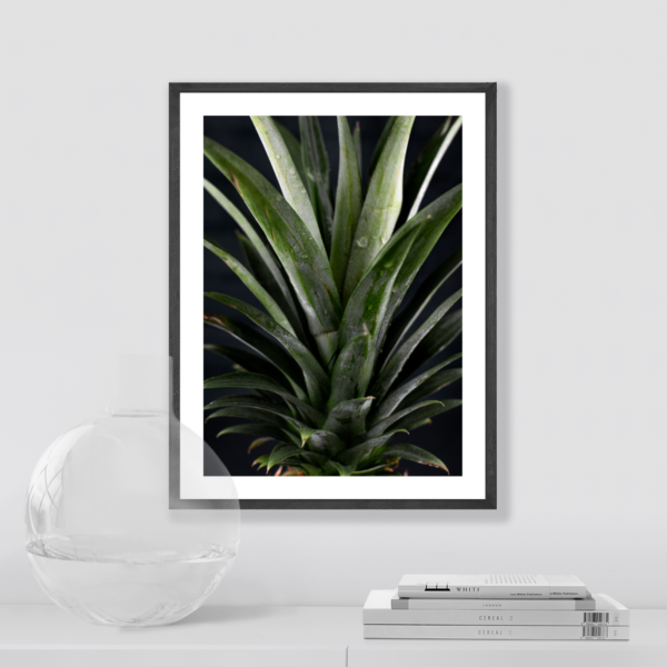 Plakat Korona Ananasa Posteran Plakaty Obrazy