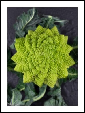 Posteran Plakat Kalafior Romanesco