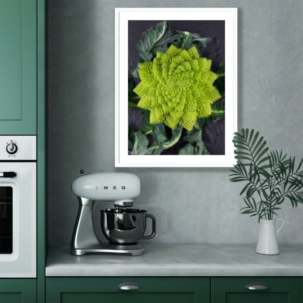 Plakat Kalafior Romanesco Posteran Plakaty Obrazy