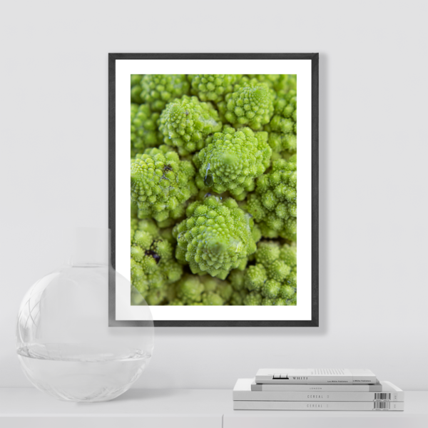Plakat Zbliżenie Na Kalafior Romanesco Posteran Plakaty Obrazy