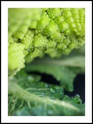 Posteran Plakat Makro Kalafior