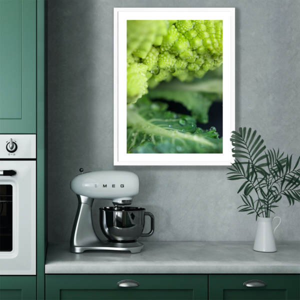 Plakat Makro Kalafior Posteran Plakaty Obrazy