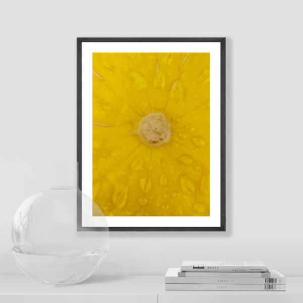 Plakat Skórka Melona Posteran Plakaty Obrazy