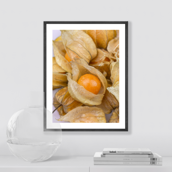 Posteran Plakaty Obrazy