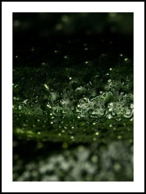 Posteran Plakat Skórka Ogórka