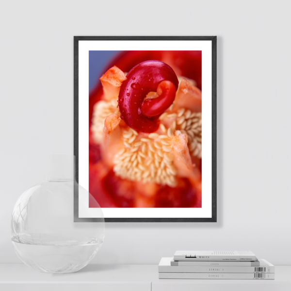 Plakat Papryka Pestki Posteran Plakaty Obrazy