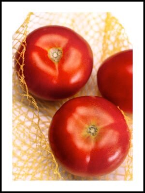 Posteran Plakat Pomidory Na Białym Tle