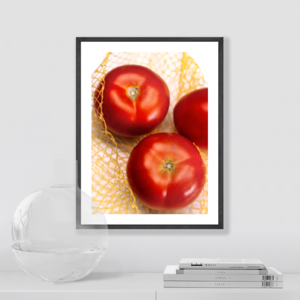 Plakat Pomidory Na Białym Tle Posteran Plakaty Obrazy