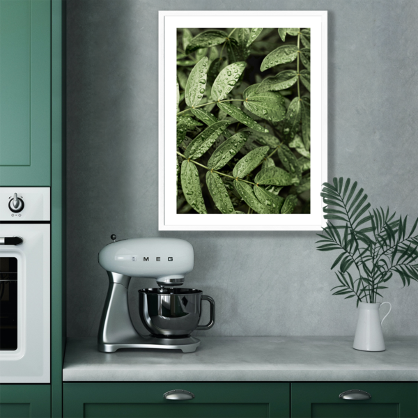 Posteran Plakaty Obrazy