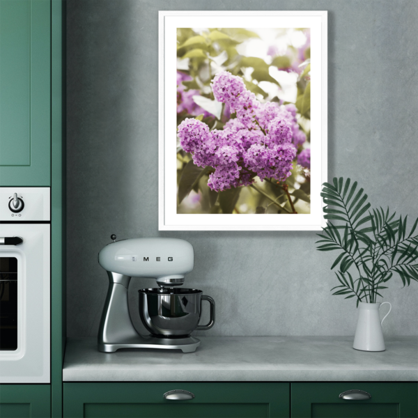 Posteran Plakaty Obrazy