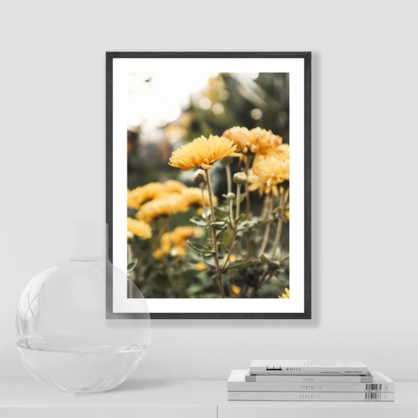 Posteran Plakaty Obrazy