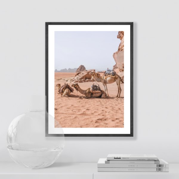 Posteran Plakaty Obrazy