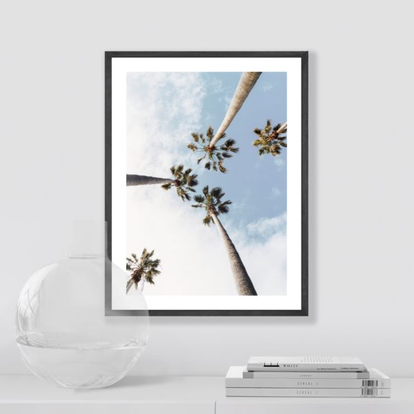 Plakat Palmy Posteran Plakaty Obrazy