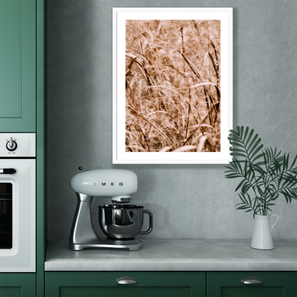 Plakat Trawy Na Łące Posteran Plakaty Obrazy