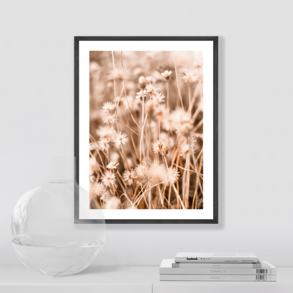 Plakat Suszki Kwiatki Posteran Plakaty Obrazy