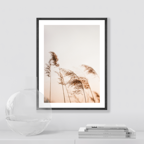 Posteran Plakaty Obrazy