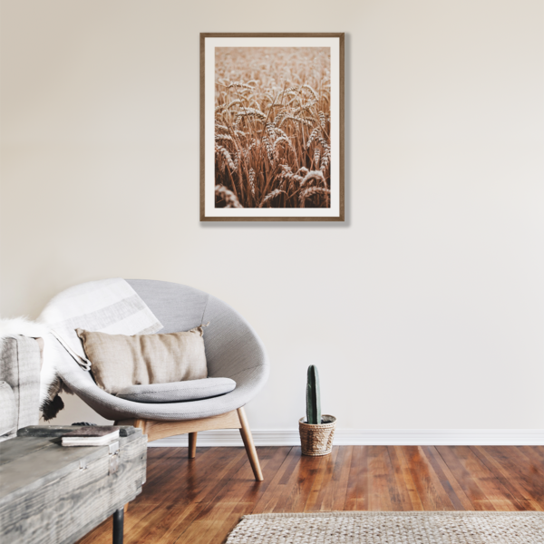 Plakat Kłosy Zboża Posteran Plakaty Obrazy