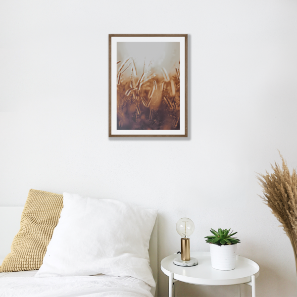 Plakat Natura Kłos Posteran Plakaty Obrazy