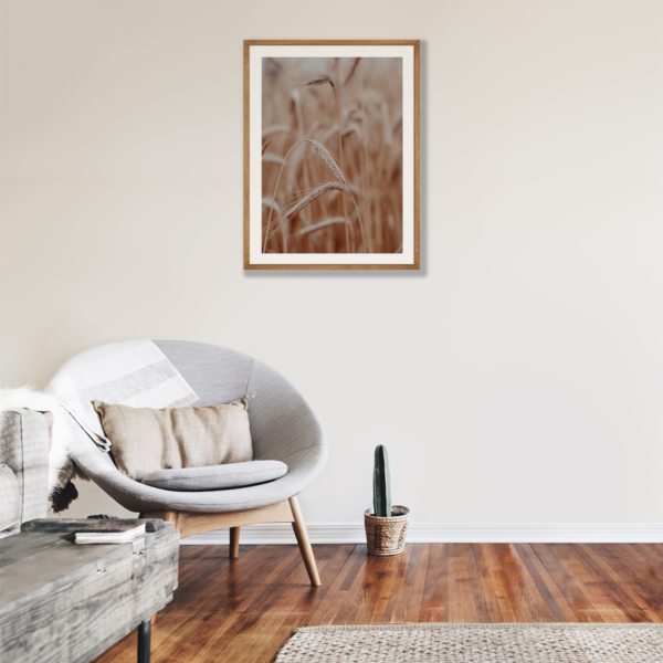 Plakat Beżowe Zboże Posteran Plakaty Obrazy