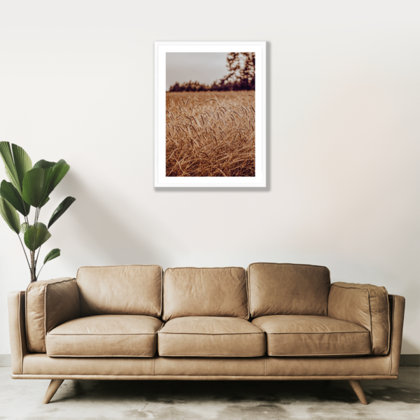 Posteran Plakaty Obrazy