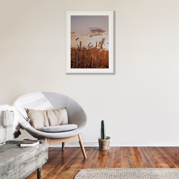 Plakat Boho Kłosy Zboża Posteran Plakat Boho Kłosy Zboża