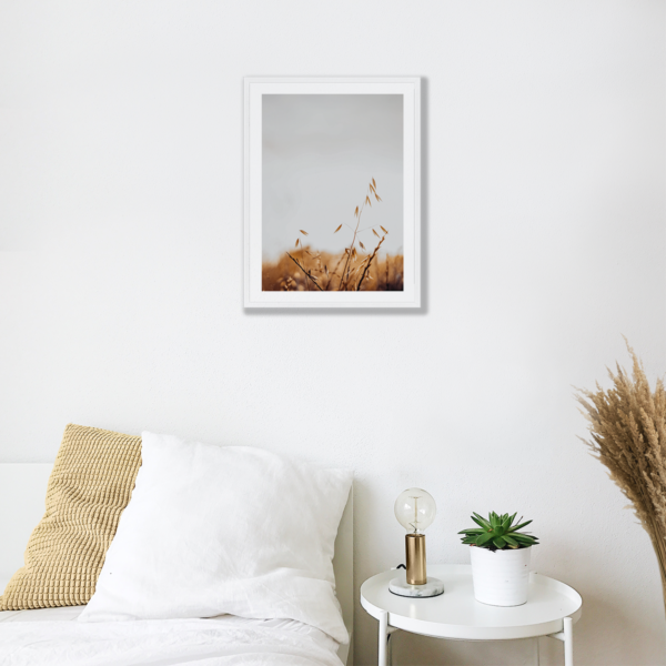 Posteran Plakaty Obrazy