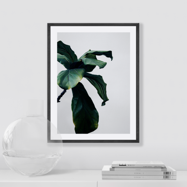 Plakat Botaniczny Zielone Liście Posteran Plakat Botaniczny Zielone Liście