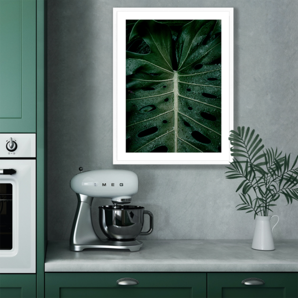 Plakat Liść Monstery Krople Wody Posteran Plakaty Obrazy