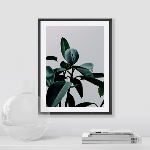 Posteran Plakaty Obrazy