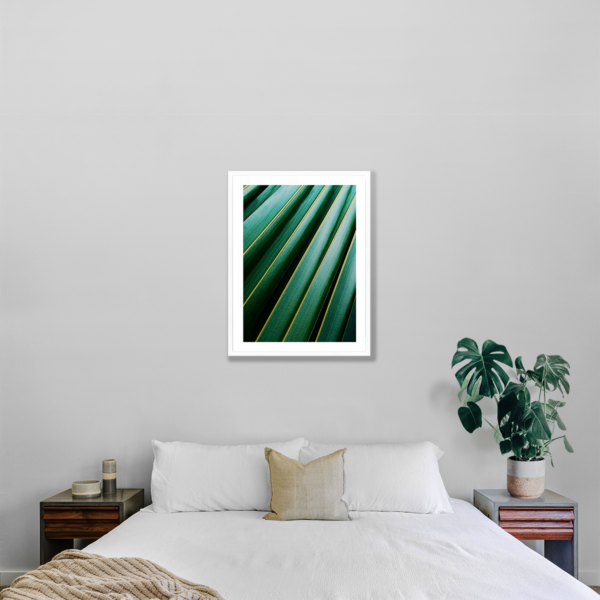 Plakat Zielone Egzotyczne Liście Posteran Plakaty Obrazy