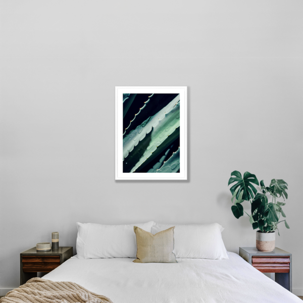 Plakat Roślina Agawa Posteran Plakaty Obrazy