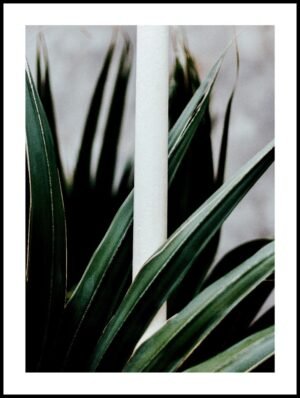 Posteran Plakat Liście Natura Botanika