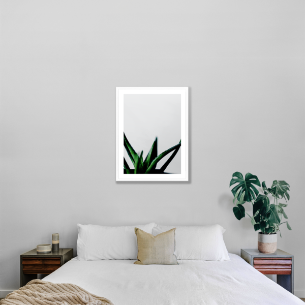 Posteran Plakaty Obrazy