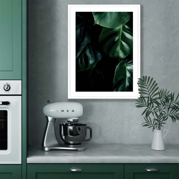 Plakat Liść Monstery Czarne Tło Posteran Plakaty Obrazy