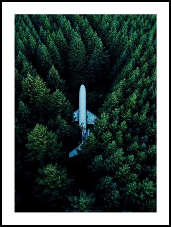 Posteran Plakat Las Samolot