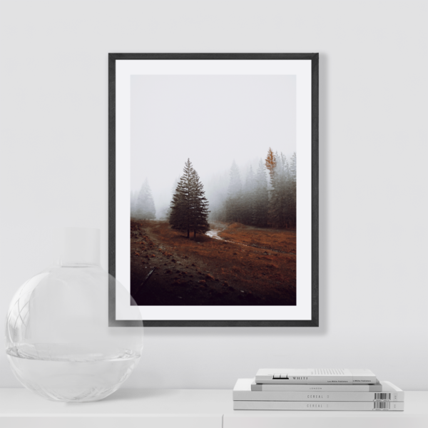 Posteran Plakaty Obrazy