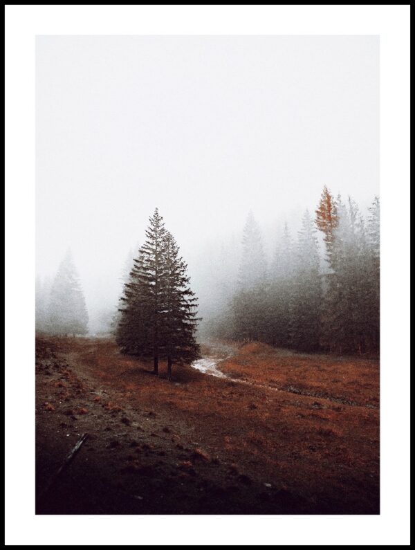 Posteran Plakat Las Jesień Mgła