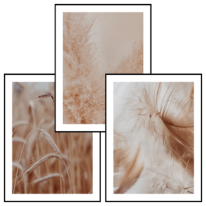 Posteran Plakaty 3 szt. Boho Piórko