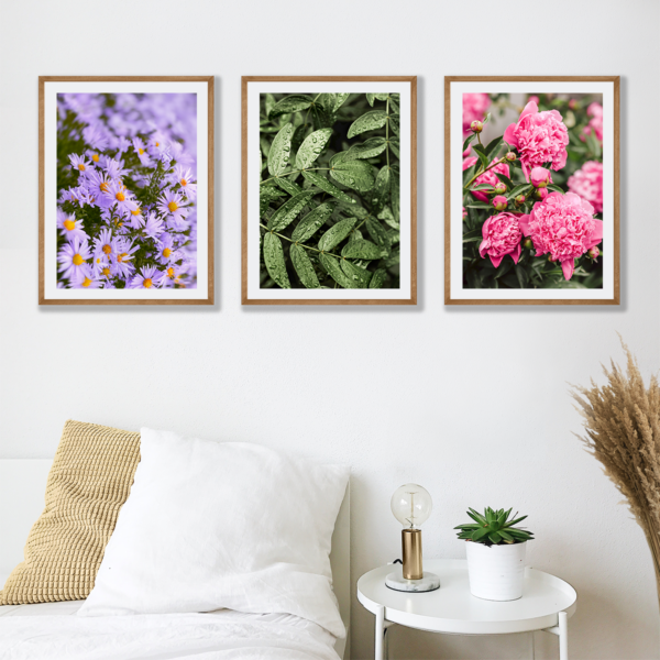 Plakaty 3 szt. Wiosna w Ogrodzie Posteran Plakaty Obrazy