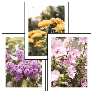 Posteran Plakaty 3 szt. Kolory Wiosny