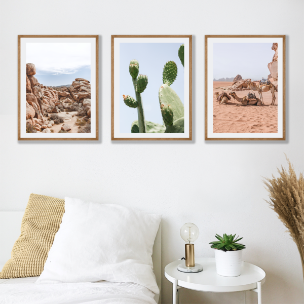 Posteran Plakaty Obrazy