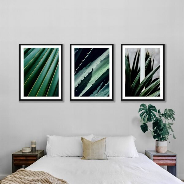 Plakaty 3 szt. Liście Rośliny Posteran Plakaty Obrazy