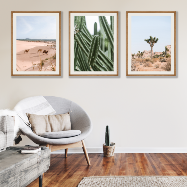 Posteran Plakaty Obrazy