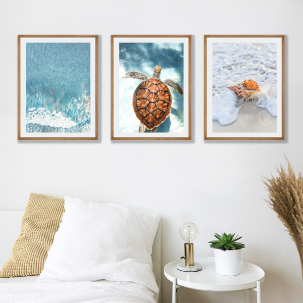 Posteran Plakaty Obrazy