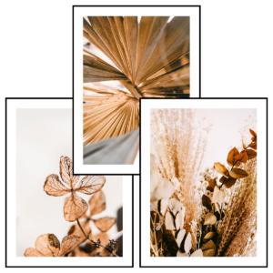 Posteran Plakaty 3 szt. Boho Palma