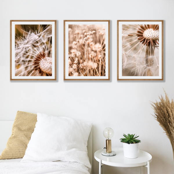 Plakaty 3 szt. Dmuchawce Boho Posteran Plakaty Obrazy