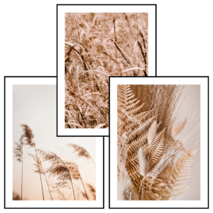 Posteran Plakaty 3 szt. Bukiet Suszonych Traw