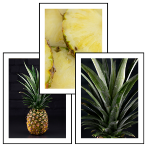 Posteran Plakaty 3 szt. Ananas