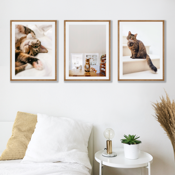 Posteran Plakaty Obrazy